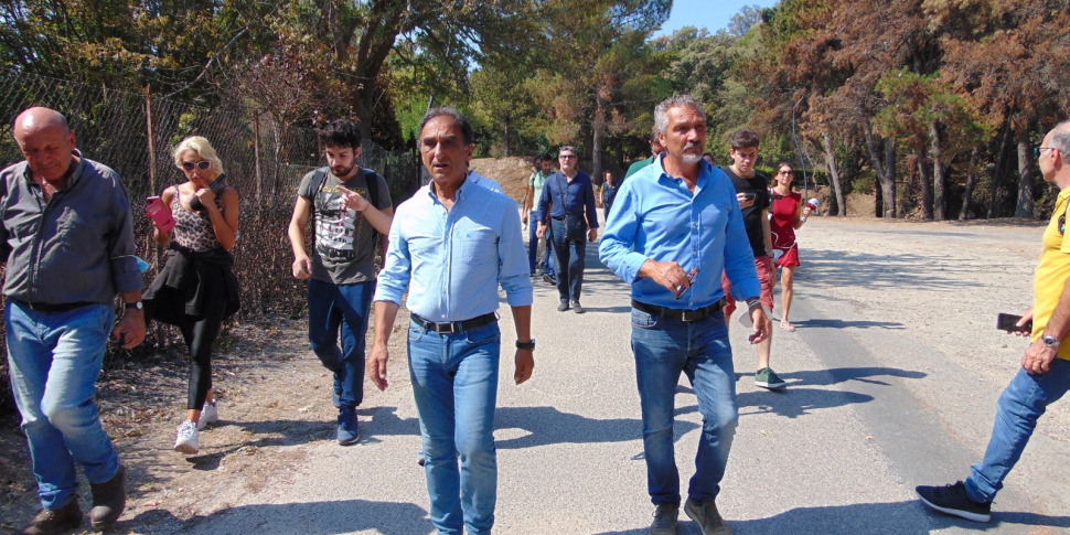 Catanzaro Il Parco Sfregiato Potr Tornare A Vivere Gazzetta Del Sud