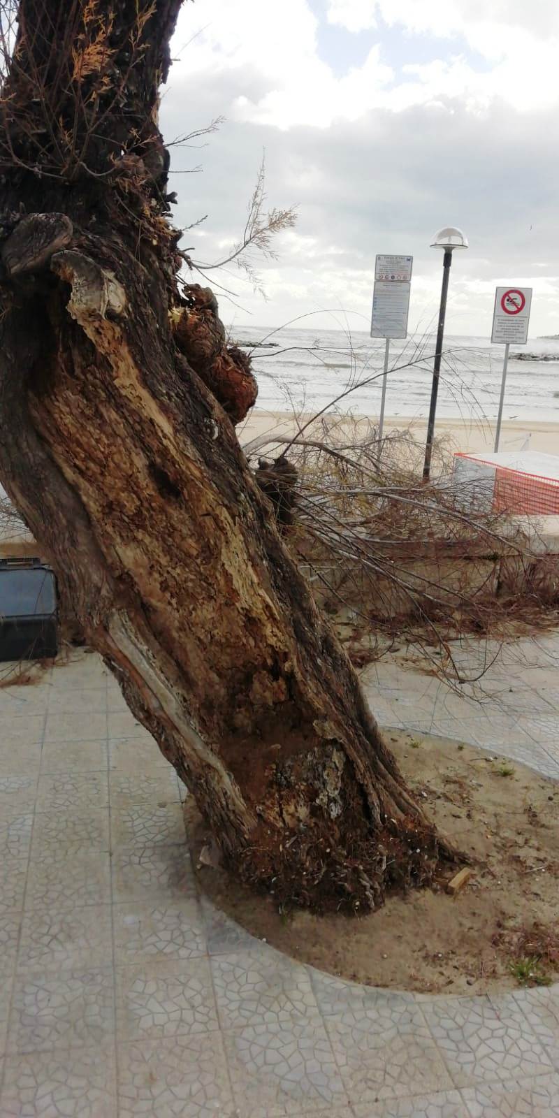 Trani Fa La Conta Dei Danni Dopo La Burrasca E In Acqua Spunta Una