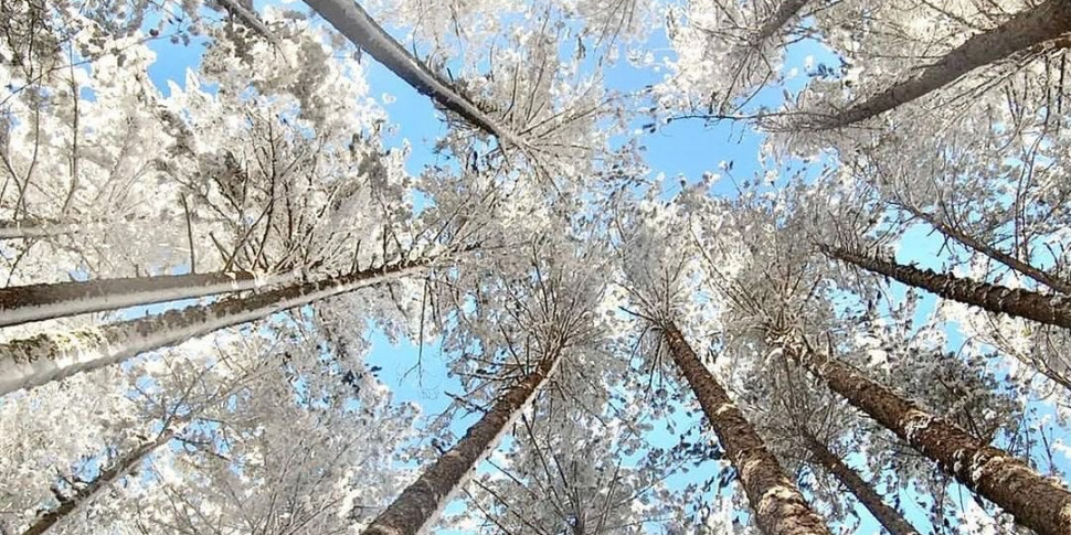 Giornate Fai Di Primavera Alla Scoperta Dei Tesori Della Calabria I