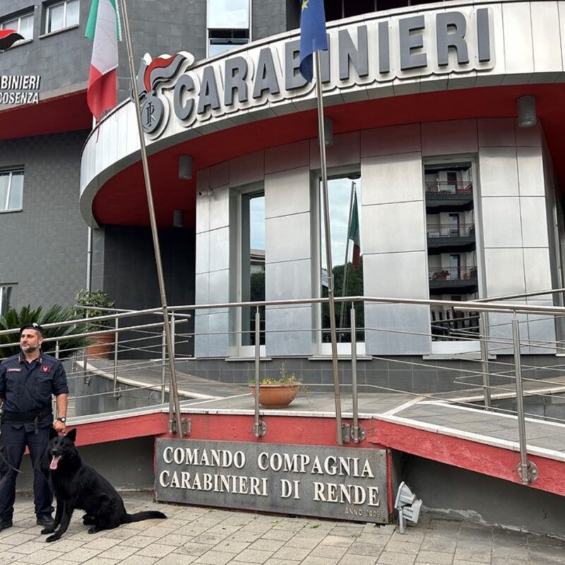 Rende I Carabinieri Arrestano Un Panettiere Nascondeva La Droga Nel