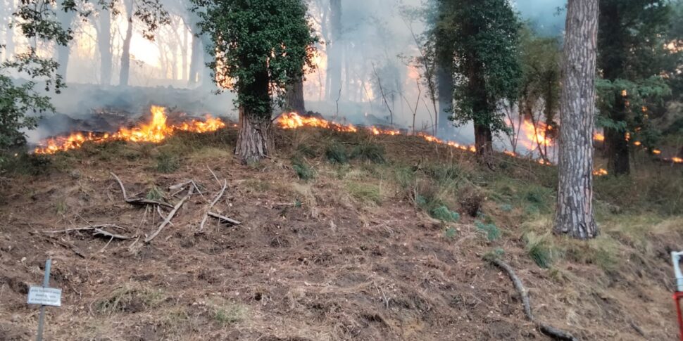 Messina Paura Per Un Incendio Sui Colli Sarrizzo Evacuata L Area