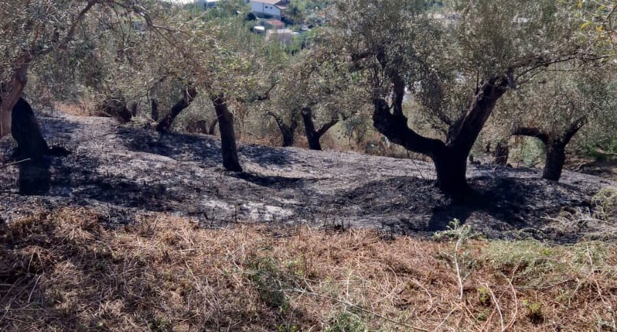 Gli Incendi Continuano A Dilagare Nel Messinese In Fumo 1000 Metri Di