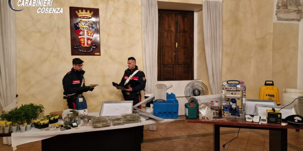 Castrovillari Scoperto Un Laboratorio Della Droga All Interno Di Un