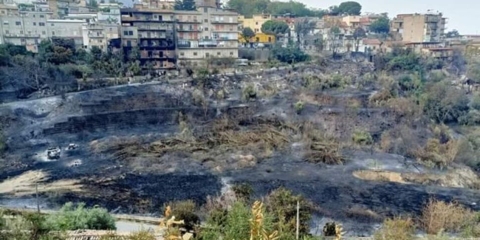 Reggio Il Comitato Civico Subito Vere Misure Antincendio Per Le Zone