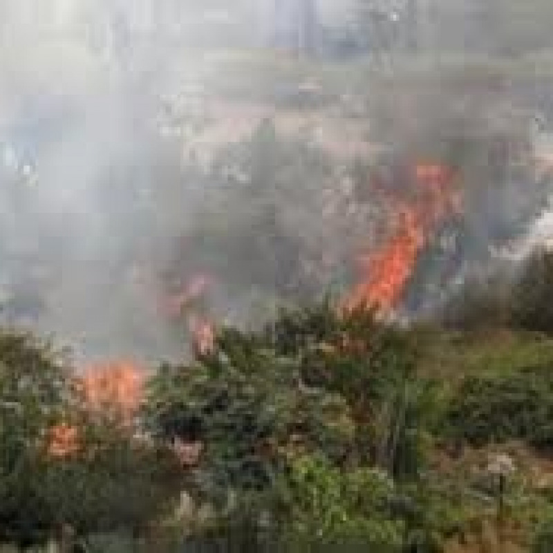 Incendi, seconda vittima in Calabria