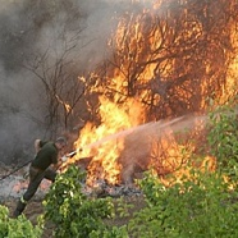 Numerosi incendi nel Cosentino
