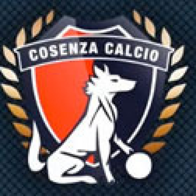 Calcio: Cosenza-Verona non si gioca, terreno non praticabile