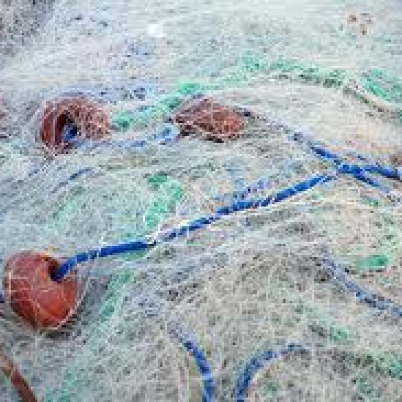 Sequestrati 5 km di reti da pesca vietate