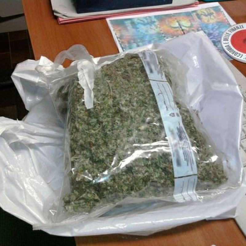 Marijuana in bosco dei Nebrodi, un arresto