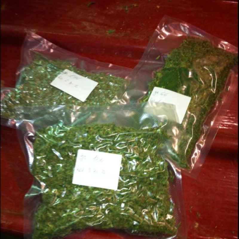 Un kg di marijuana in casa, arrestato