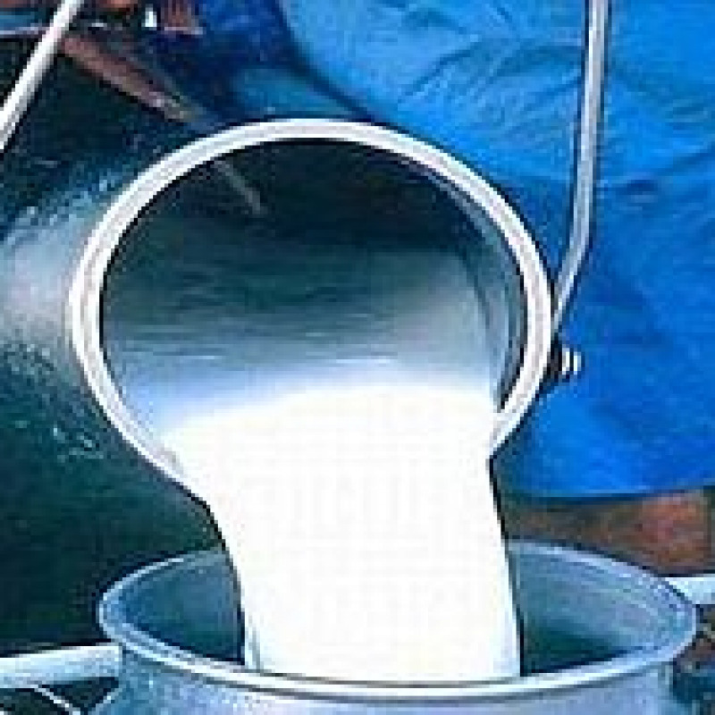 Prezzo latte troppo basso, serrata degli allevatori