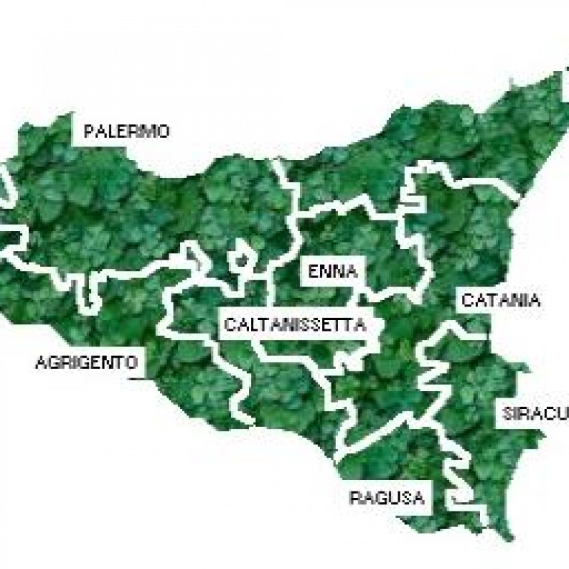 M5S, in Sicilia più seggi che candidati