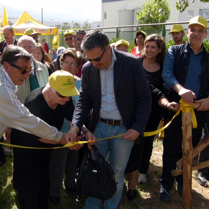 foto gazzettadel sud