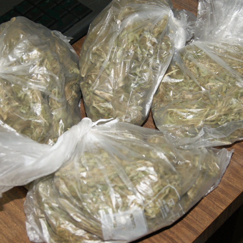 8,5 kg di marijuana nel sottotetto di casa