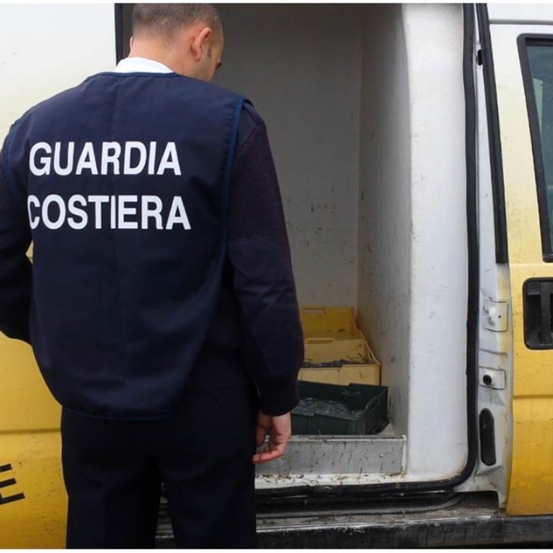 Traffico di novellame, perquisizioni in Puglia e Sicilia