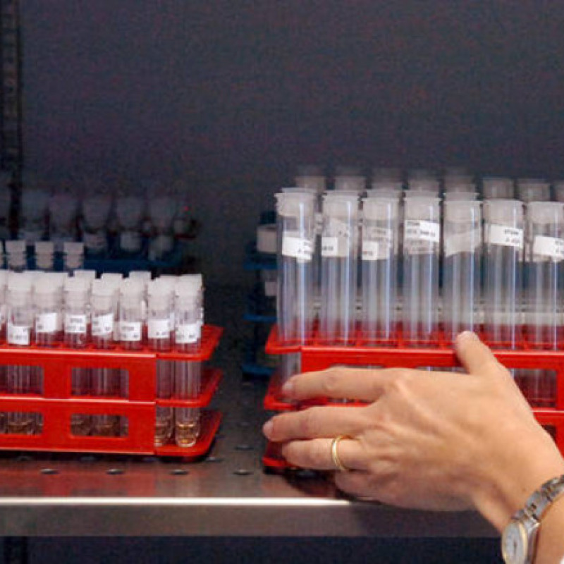 Doping, nove in tutto le persone arrestate dalla polizia austriaca