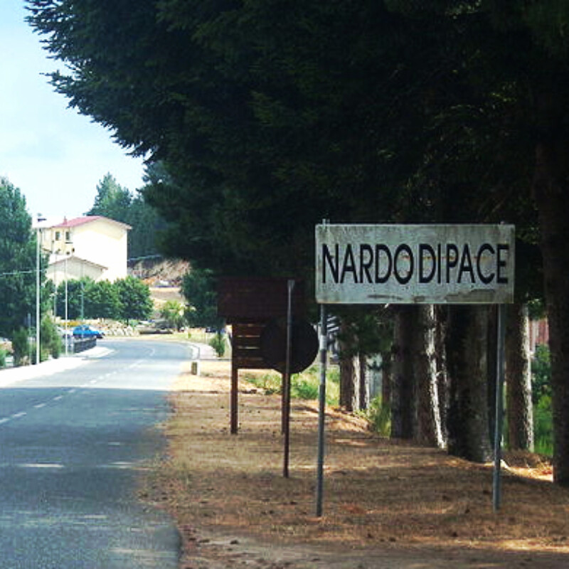 Nardodipace