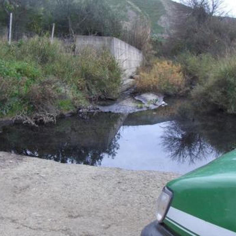 Scarti di frantoio in un torrente