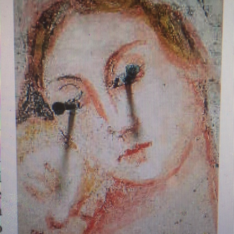Sfregiata l’immagine della Madonna