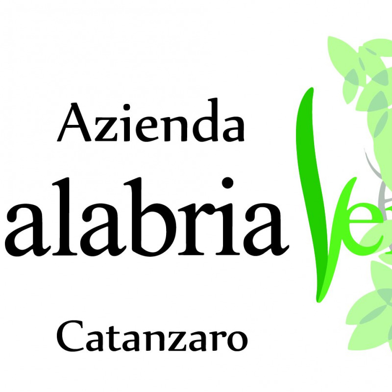 Calabria Verde, primo avviso di garanzia