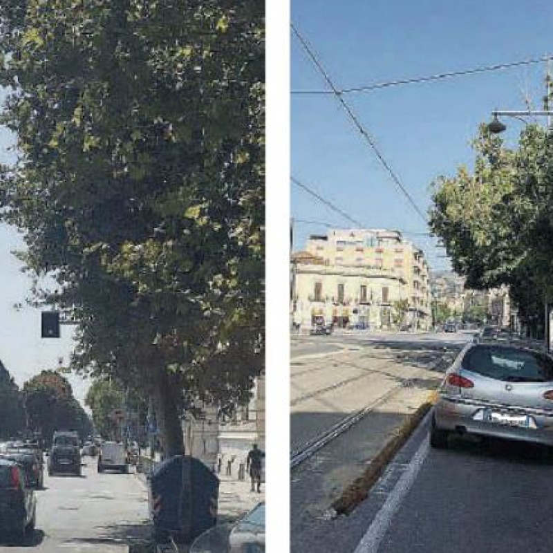 Messina, la città dei semafori... nascosti