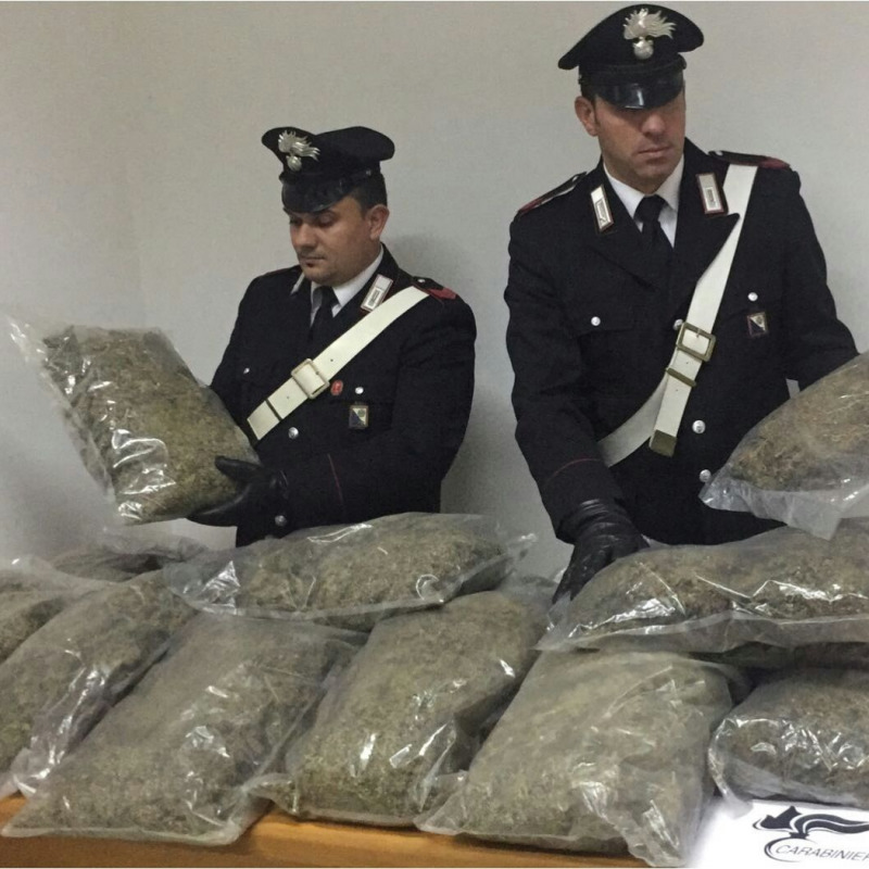 Trovati 30 chili di marijuana in un casolare abbondonato