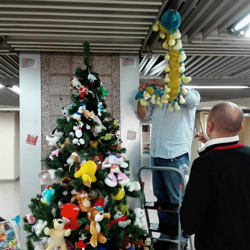 L'albero di Natale di peluche per i bambini del Policlinico
