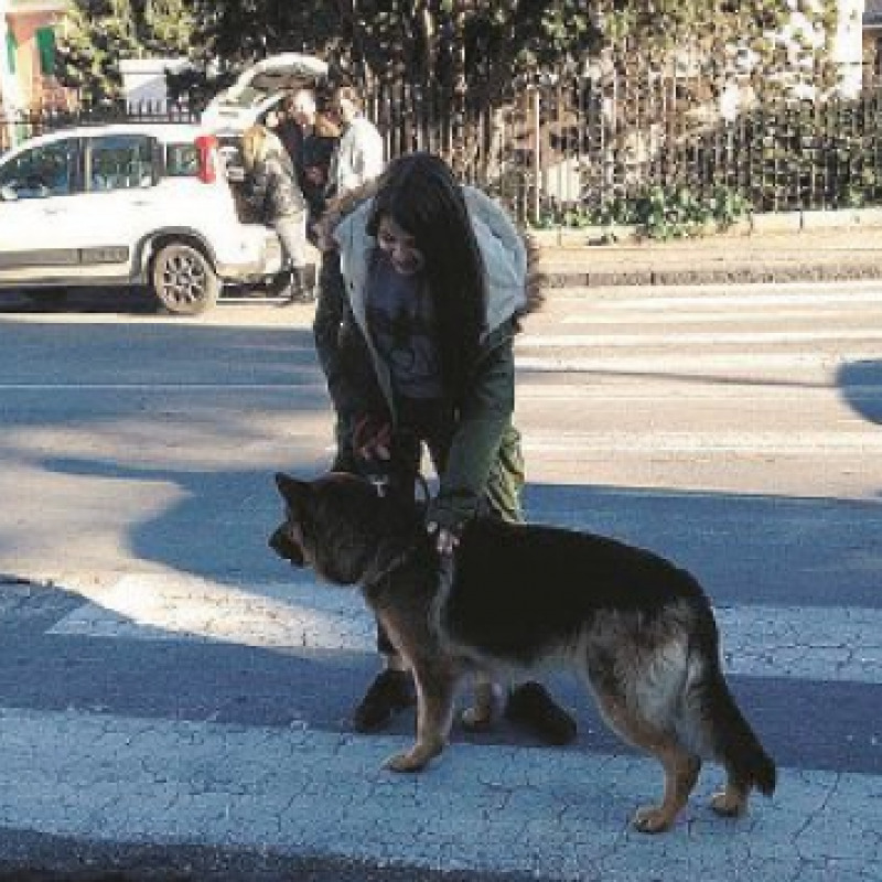 Messina, il cane tra i banchi per seguire la lezione