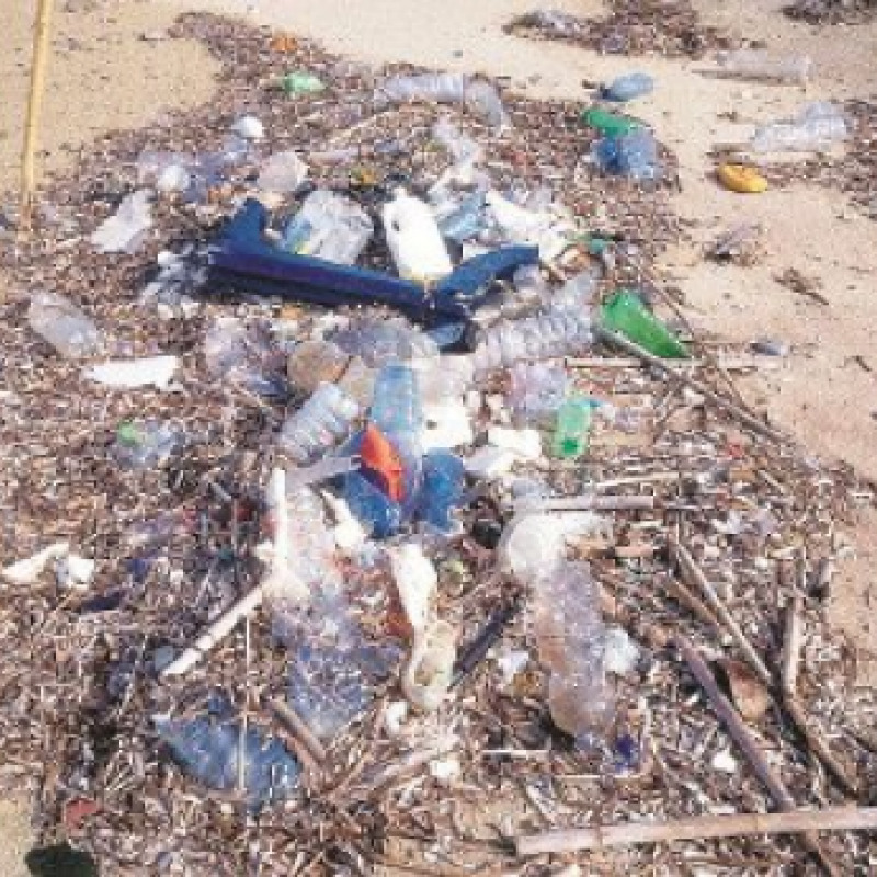 La faccia sporca della Calabria Montagne di rifiuti nelle spiagge