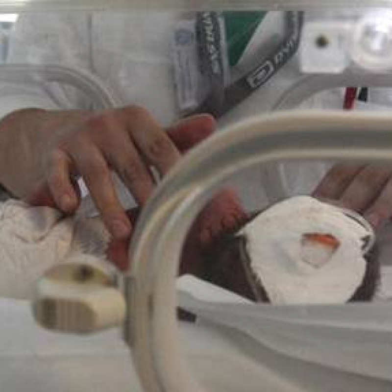 Neonato abbandonato muore in ospedale