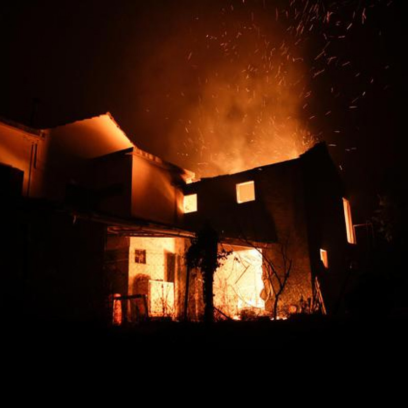Portogallo: incendio nei boschi, almeno 62 morti