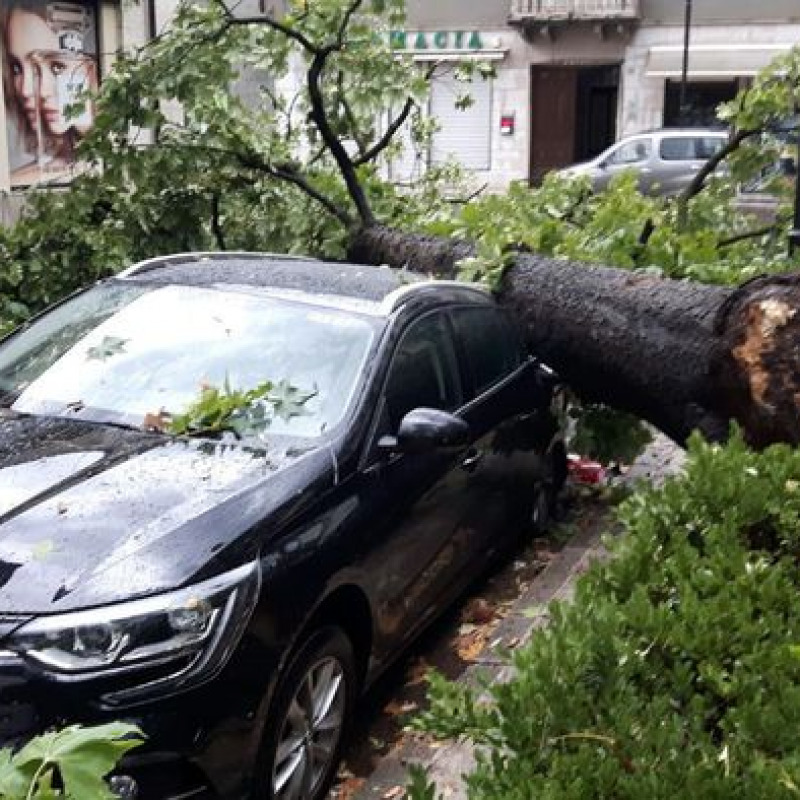 Temporali, grandine e frane al Nord