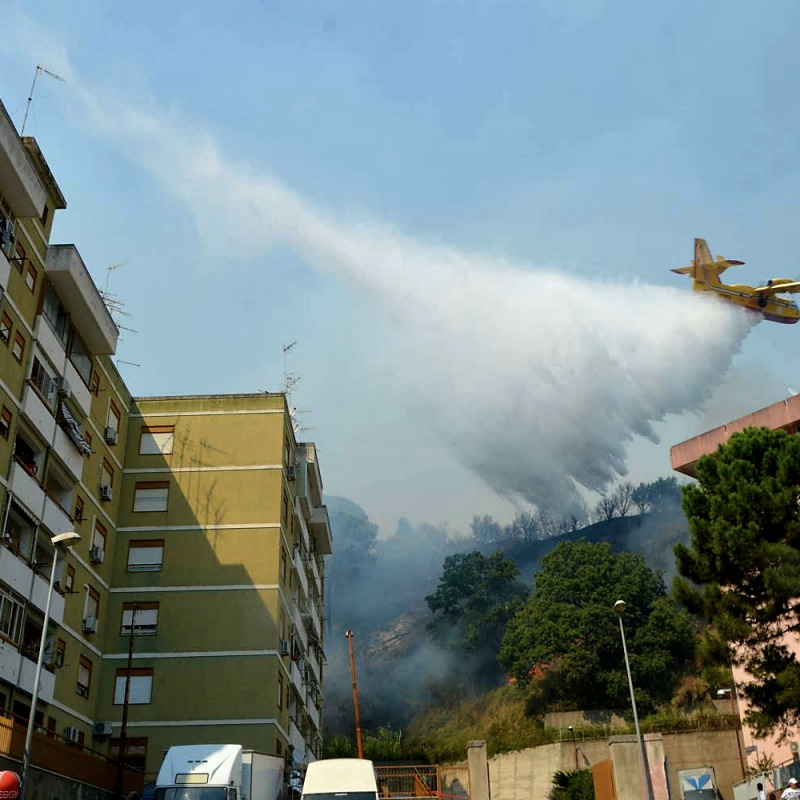 Incendi, la Regione Siciliana dichiara lo stato di calamità