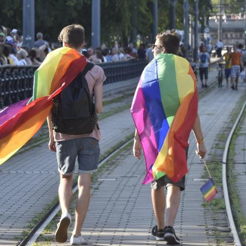 Omosessuali rifiutati da casa vacanze: "No gay e animali"