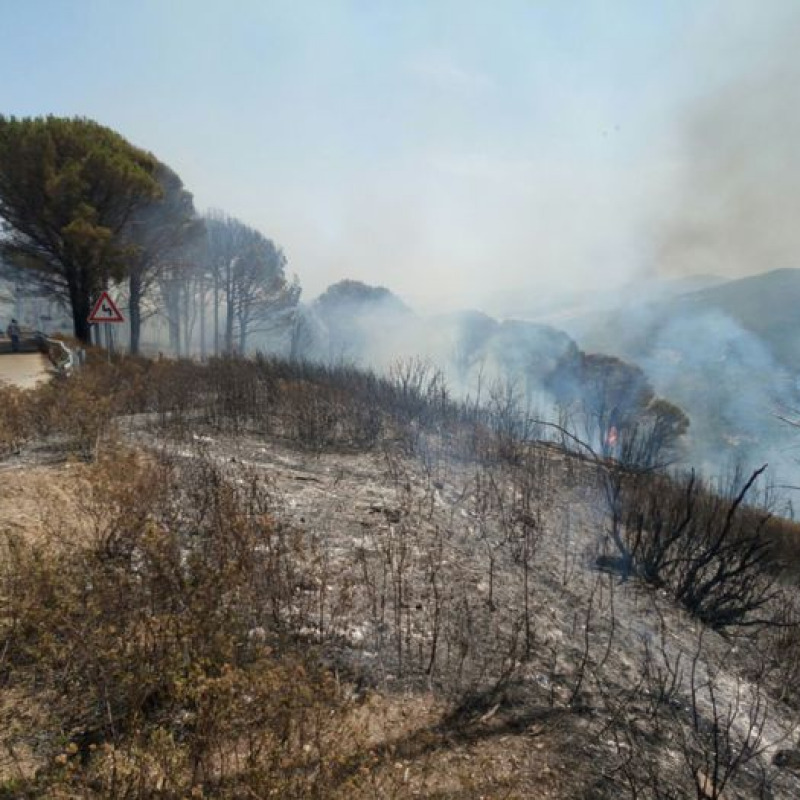Incendi in Calabria, in azione canadair