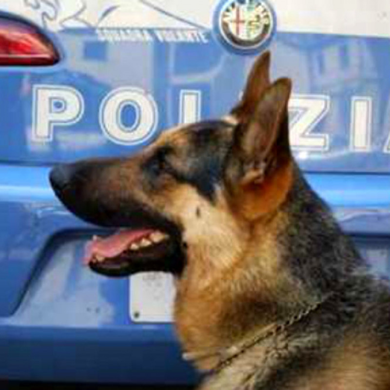 Blitz antidroga in 16 città italiane, 25 arresti