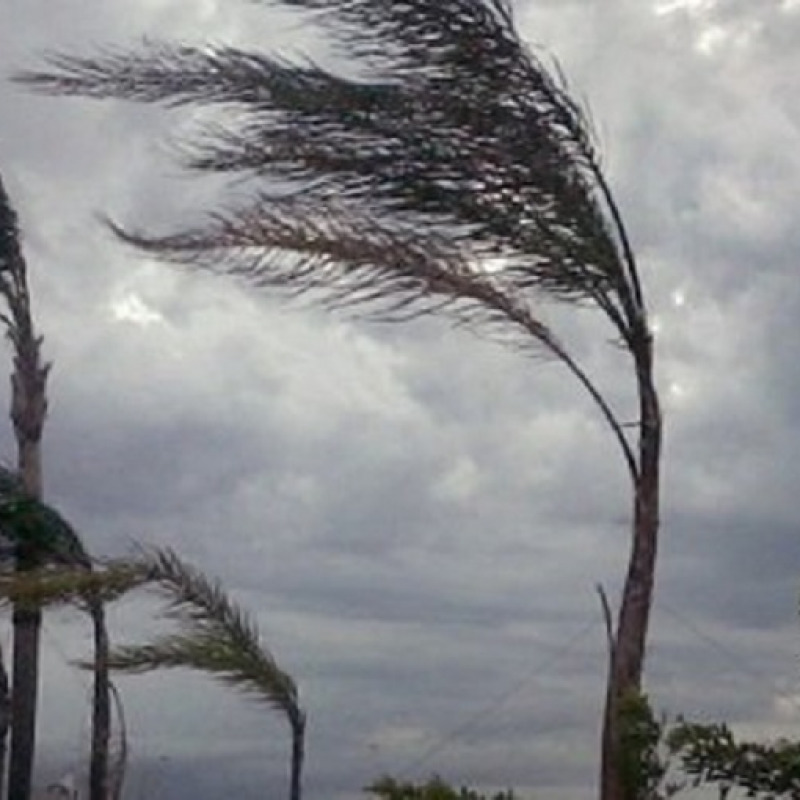 Forte vento in Calabria, danni e disagi