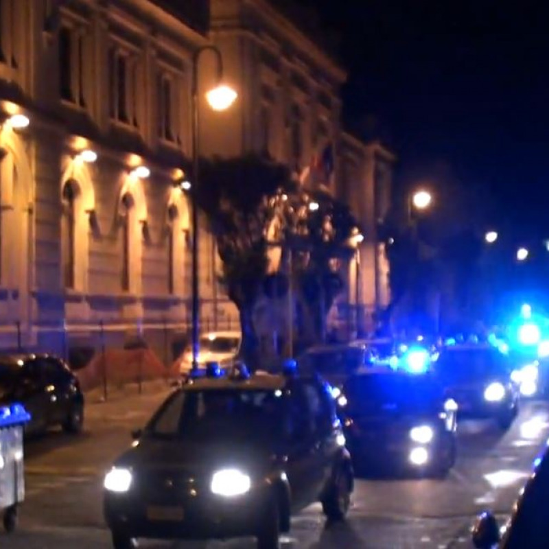 Traffico animali protetti, sette arresti dei carabinieri