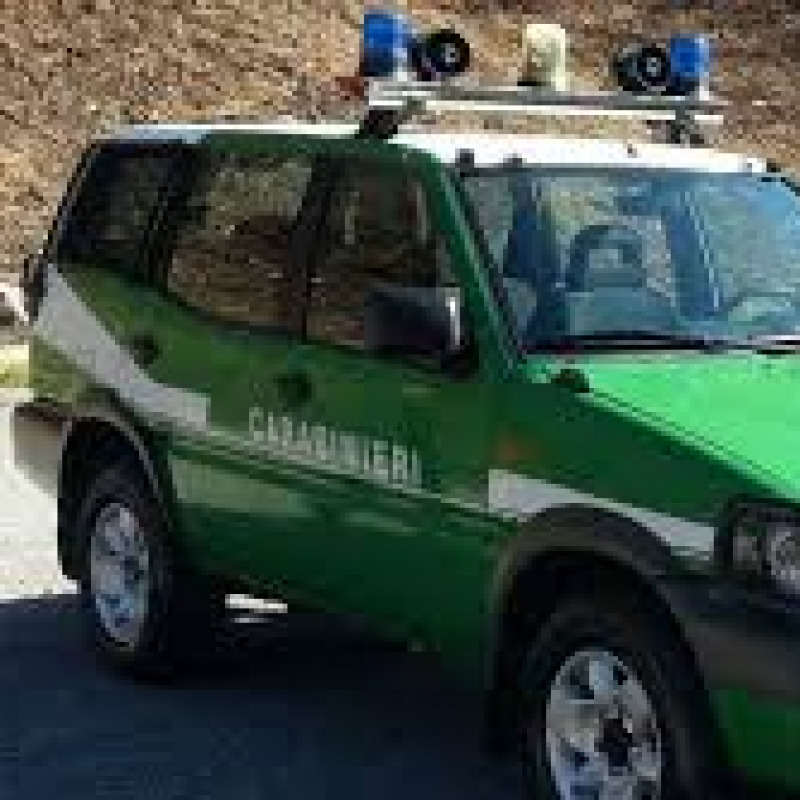 'Ndrangheta: favorì cosca, arrestato un maresciallo dei Cc-forestale