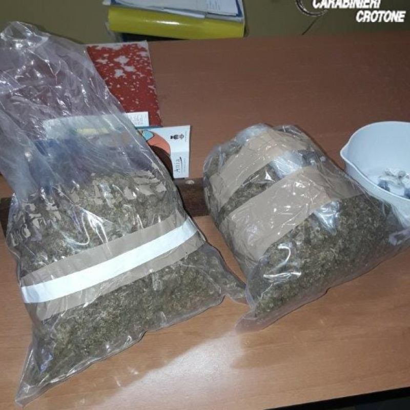 Marijuana coltivata in casa, due arresti