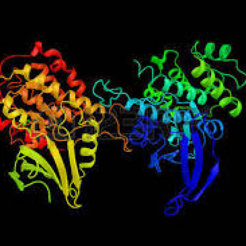 Scoperta proteina bifronte, aiuta e blocca tumore polmone