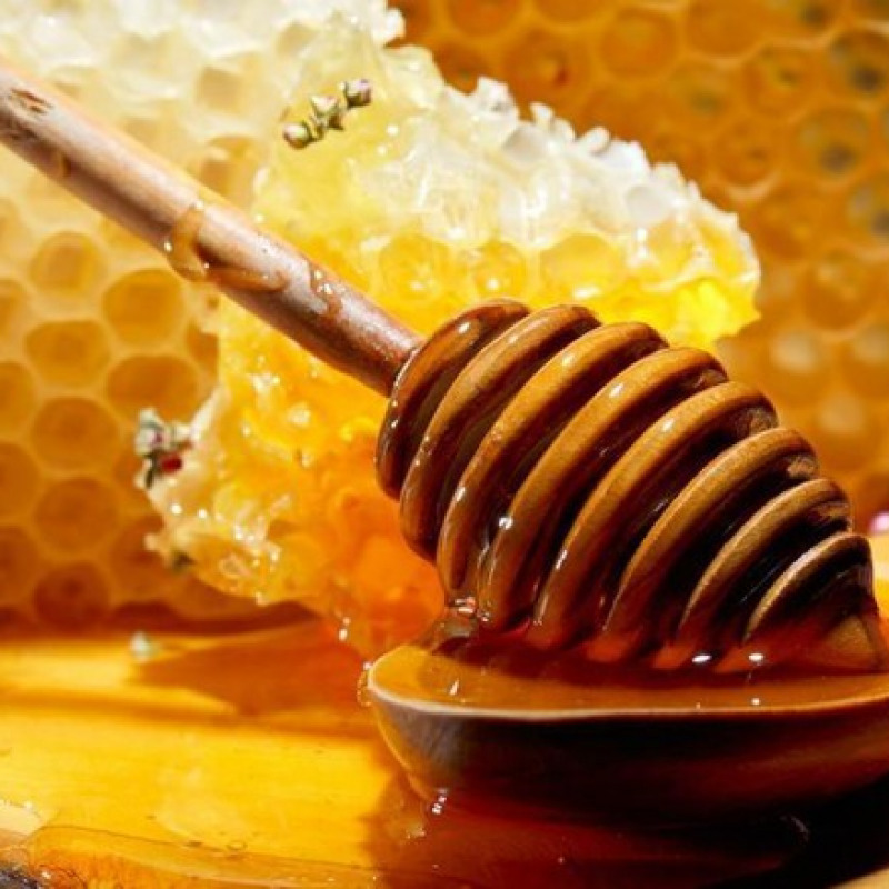 Preoccupazione per gli apicoltori