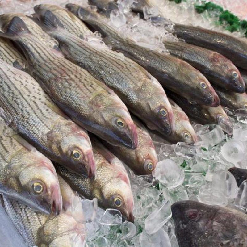 Coldiretti, parte fermo pesca in Adriatico,stop pesce fresco