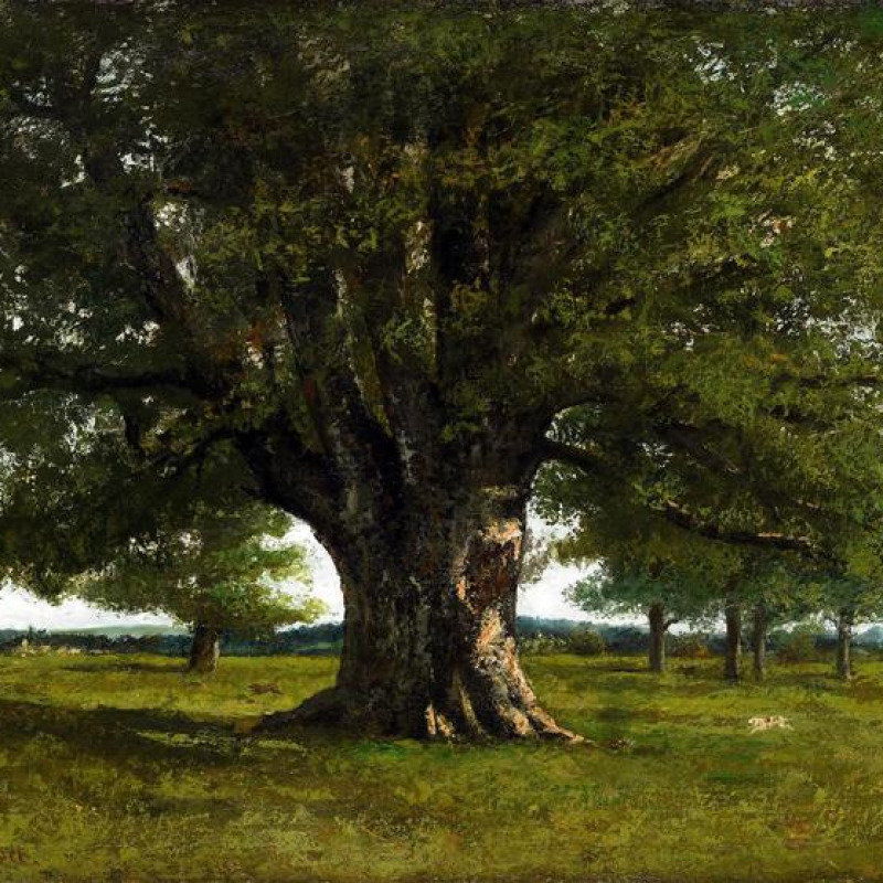 Gustave Courbet: La quercia di Flagey, 1864, Ornans, Musée Gustave Courbet © Musée Courbet