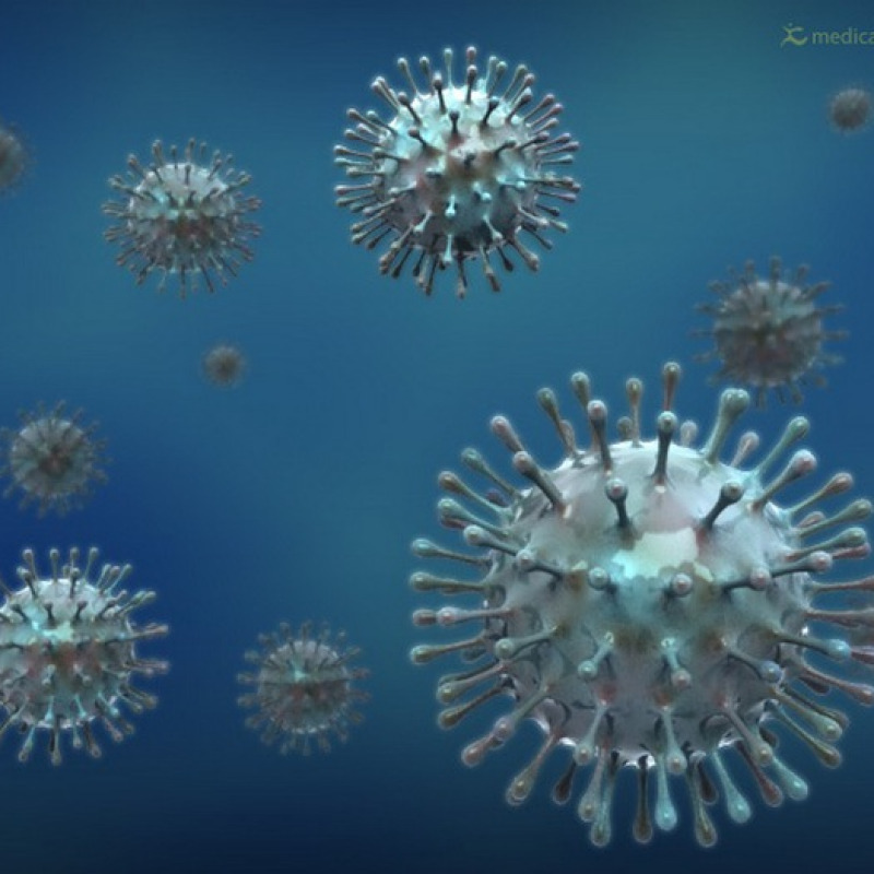 Rappresentazioine grafica del virus dell'influenza (fonte: MedicalGraphics)