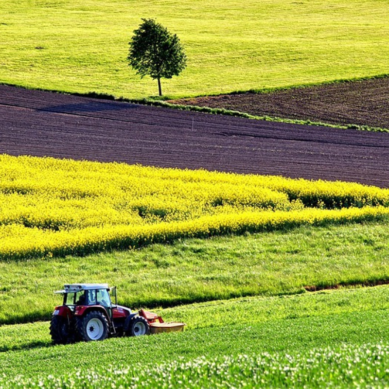 Agricoltura (fonte: Pixabay)