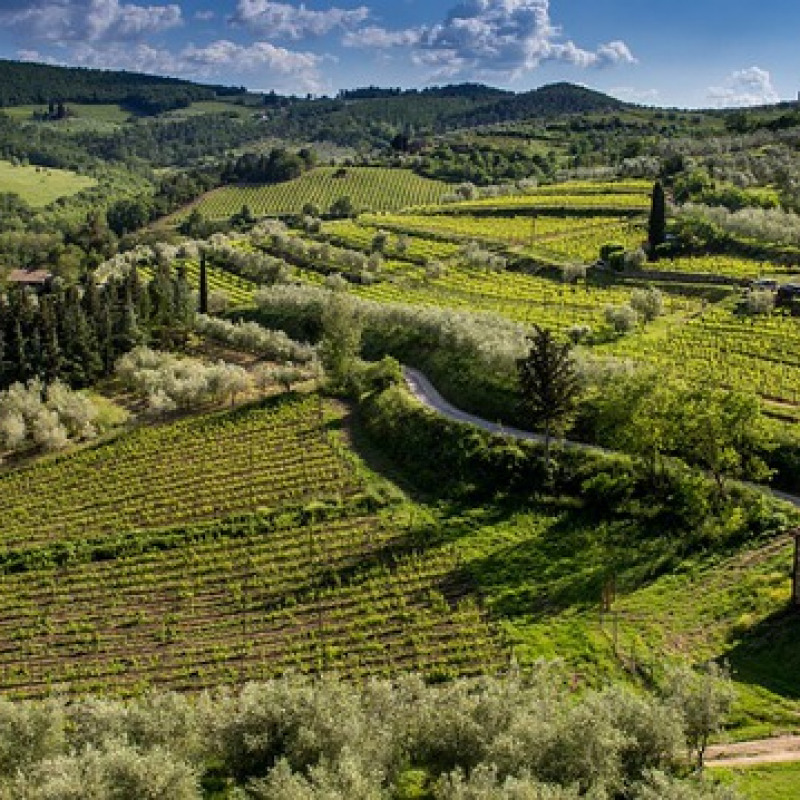 Paesaggio Toscano (fonte: Pixabay)