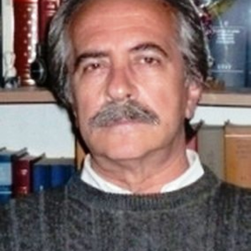 Lo scrittore Antonio Gerundino