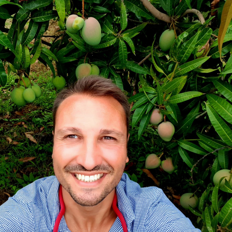 Il presidente di Coldiretti Catania con i suoi alberi di mango