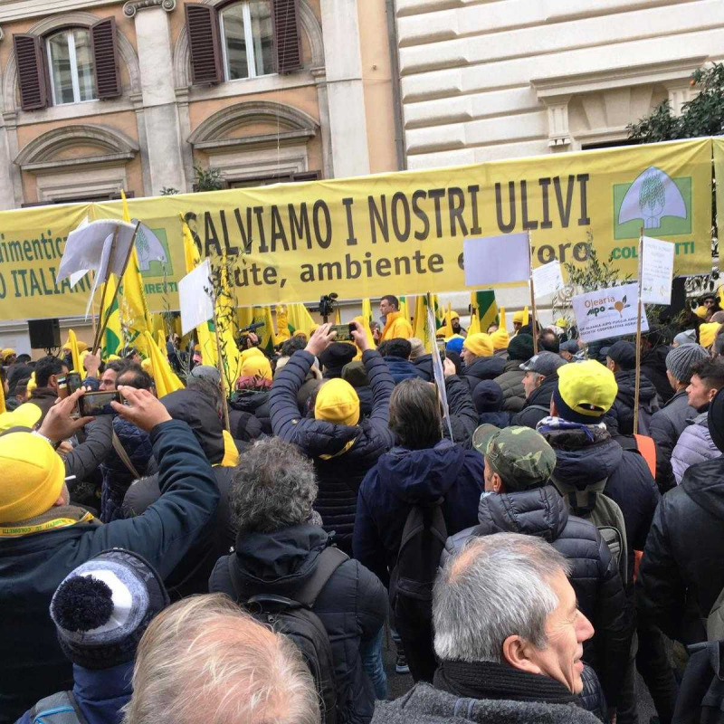 La protesta di Coldiretti davanti al Ministero dell'Agricoltura